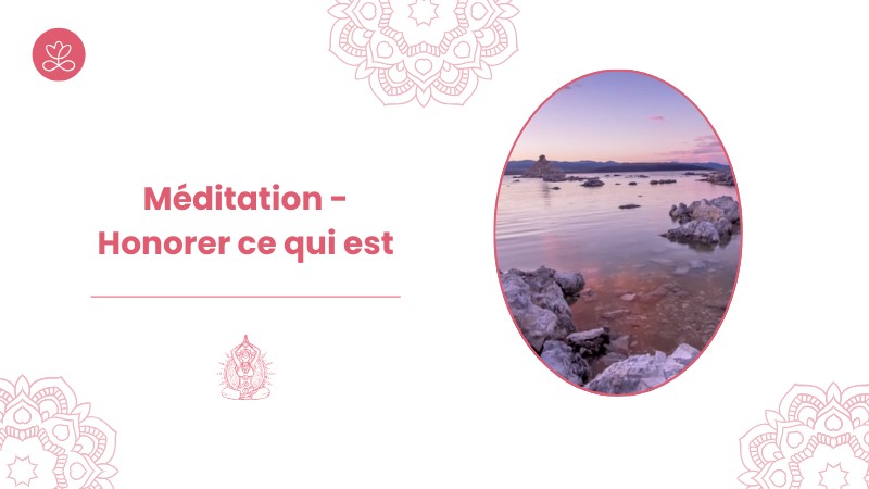 Jour 12. Méditation - Honorer ce qui est avec Martine de Grandpré (11 min)